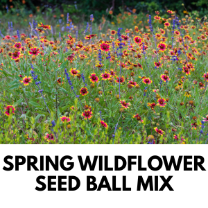 Spring wildflower seed ball mix