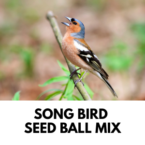 Song Bird seed ball mix